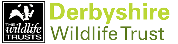 Derbyshire Wildlife Trust : Belper Shop on Inter Search